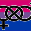 Bandera de la Bisexualidad